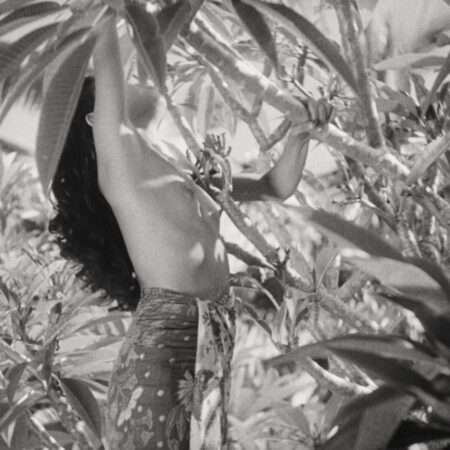 Image 23-8-25 at 9.39 AM (1)